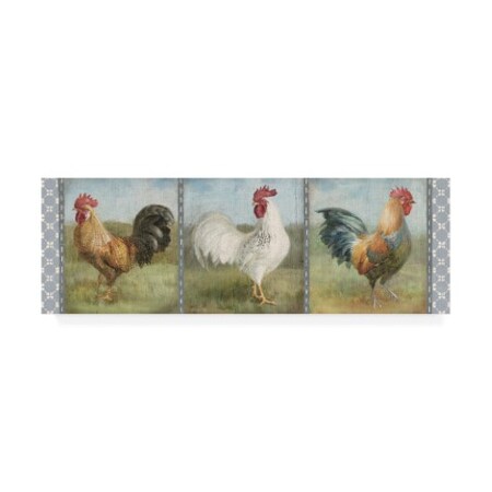 Trademark Fine Art Danhui Nai 'Noble Roosters V' Canvas Art, 10x32 WAP10752-C1032GG